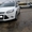 Услуги частного такси  FORD FOCUS. #1042614