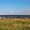 7 соток рядом с лесом,  Дмитровское ш,  12 км от МКАД #1115714