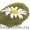 Ламинария (порошок) от 100г. Без примесей. Россия #1289580