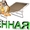 Раскладушка усиленная ДР-4 #1014044