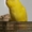 Волнистый попугай лютино #1384589