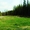 ЗУ 1 Га в пригороде Ижевска       18:08:019003:1481 #1428299