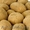 Семенной картофель из Беларуси в Новосибирске #1496693
