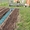Сборная дорожка между грядками,  удобная дорожка для огорода ПластДор-Мини #1379601