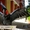 Пальмовый какаду (Probosciger aterrimus) - ручные птенцы из питомников #644540
