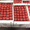 Продаем помидоры оптом в краснодарском крае, краснодарские помидоры оптом #1653610