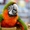 Каталина гибрид попугаев ара - ручные птенцы #1690153