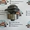 Водяной насос Cummins 3800974 (3802973,  3929612,  3285323,  4376357,  4955529,  3802 #1693577