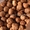 Саженцы фундука из питомника растений Арбор #1715568