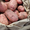 Ранний картофель в Алтайском крае оптом #1736257
